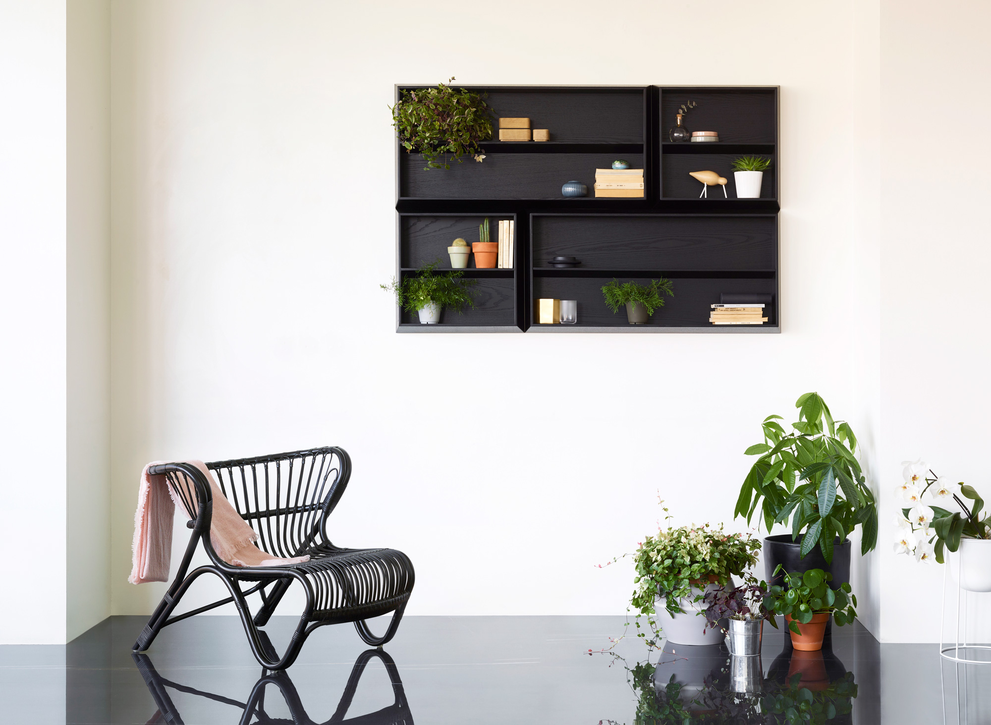 Ex.t, Libreria Brac, Product Design, Progetto, Deferrari Modesti, salotto, Bagno, Sistema