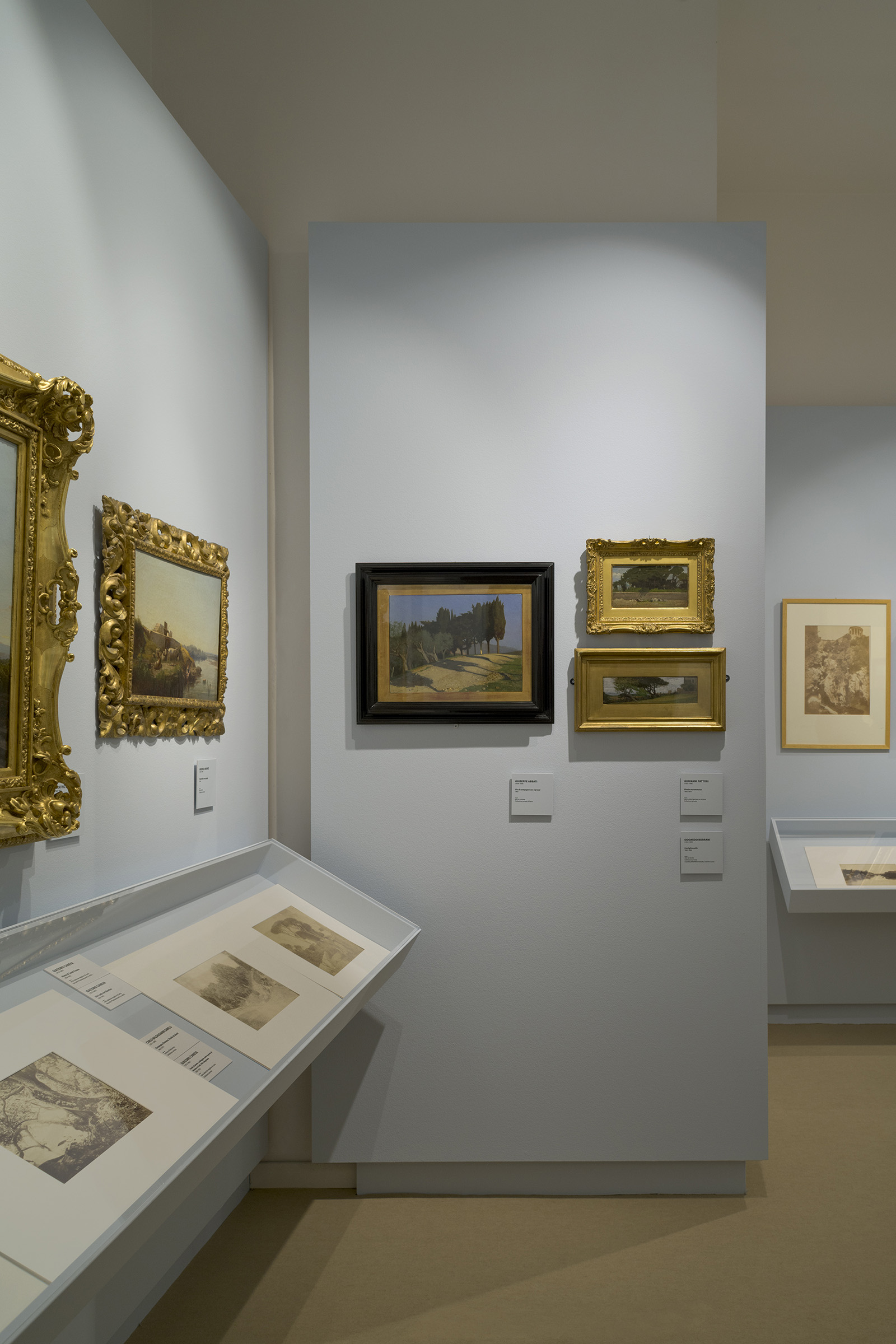 Palp, Arcadia e Apocalisse, Palazzo Pretorio Pontedera, Allestimento, Deferrari Modesti